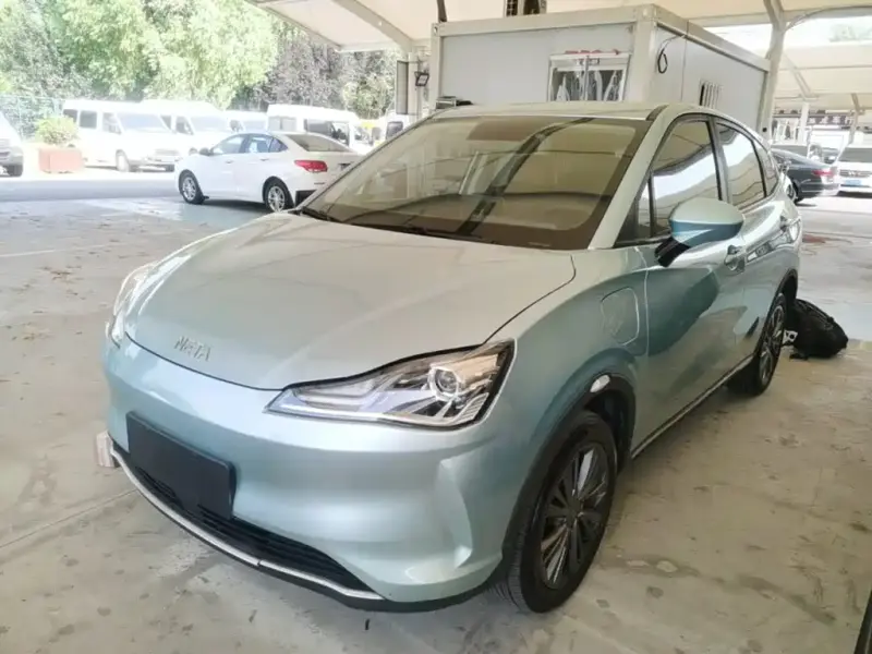 Neta V
