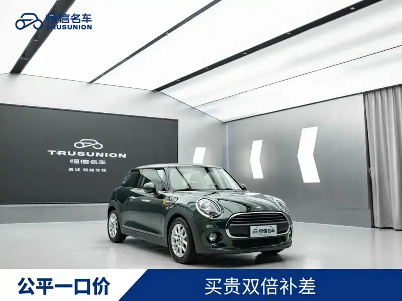 MINI Mini