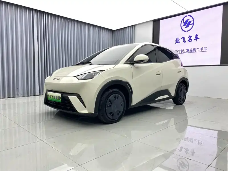 BYD Seagull