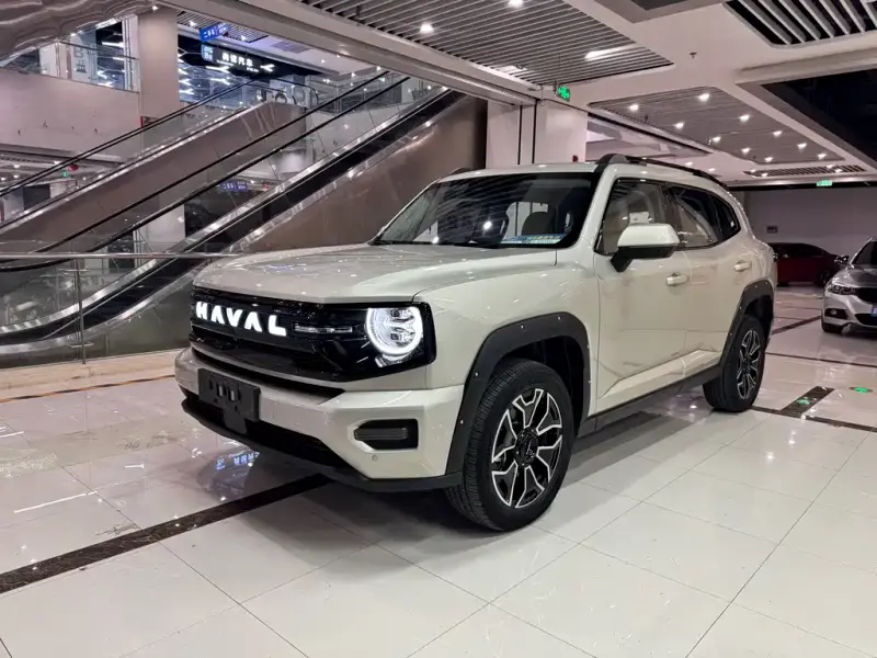 Haval Dargo PLUS NEV
