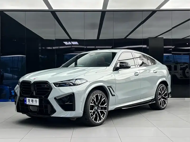 BMW X6 M