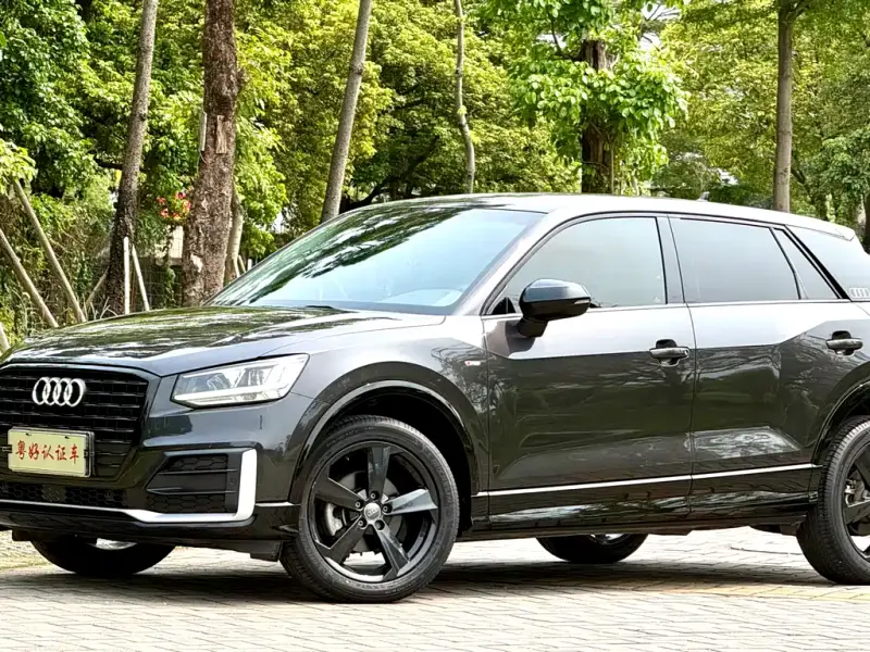 Audi Q2L