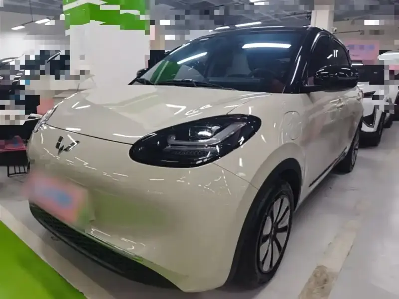 Wuling Bingo