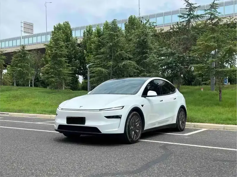 Tesla Model Y L