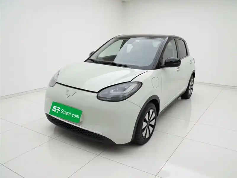 Wuling Bingo