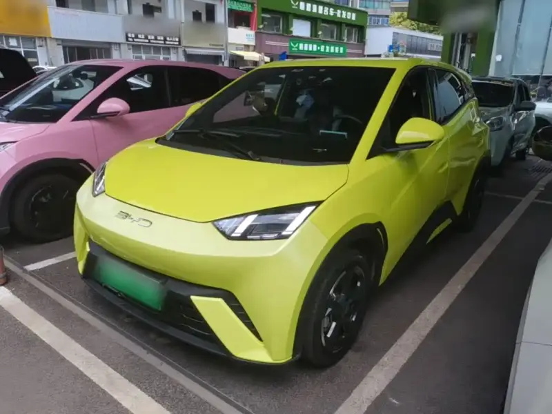 BYD Seagull