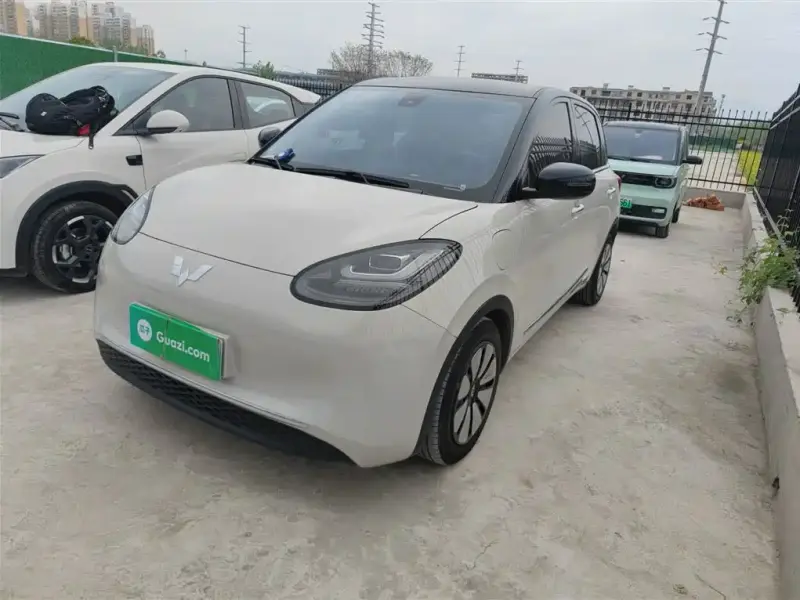 Wuling Bingo