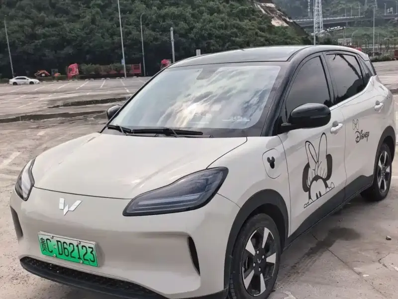 Wuling Bingo PLUS