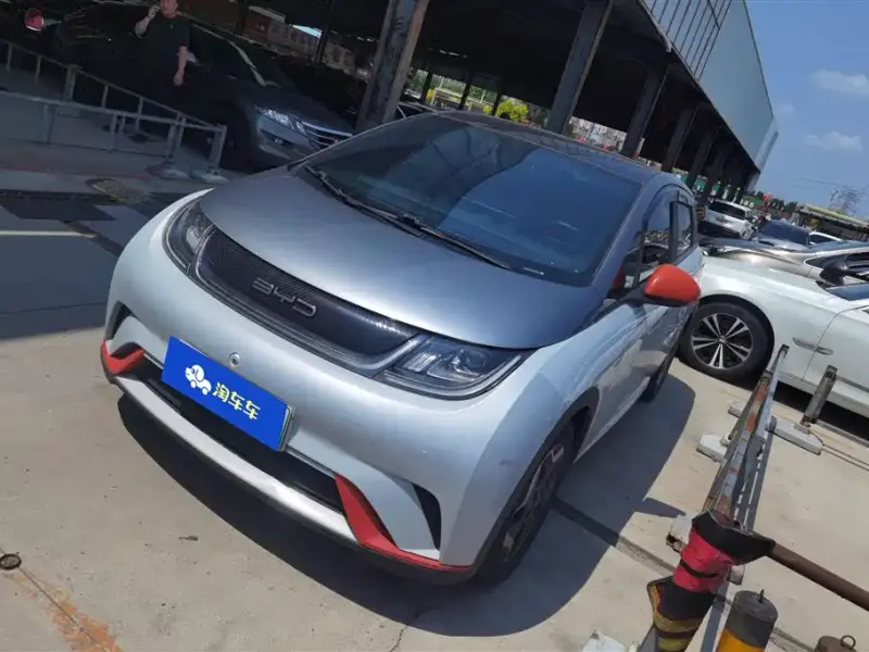 BYD Dolphin