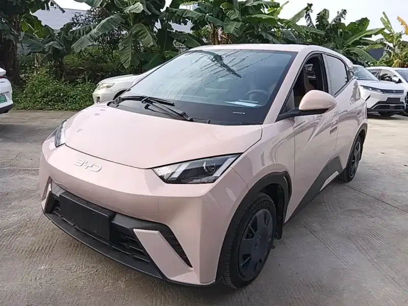 BYD Seagull