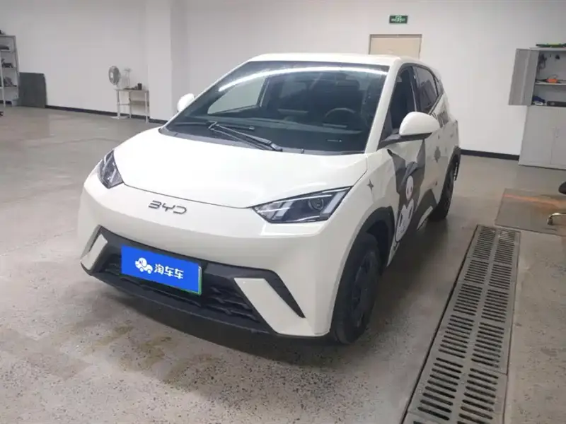BYD Seagull