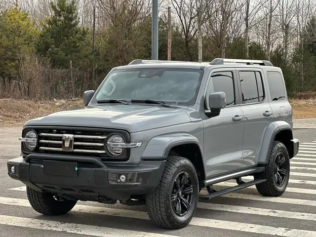 Tank 300