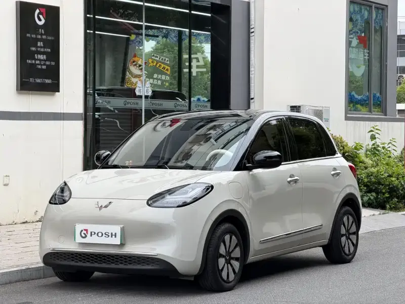 Wuling Bingo