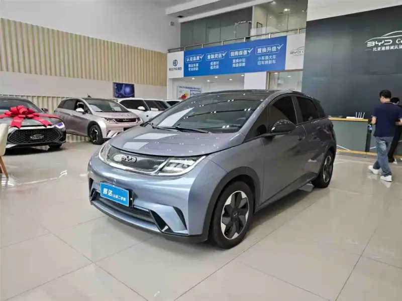 BYD Dolphin
