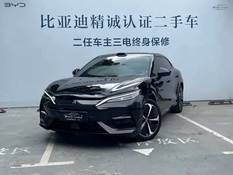 BYD L EV