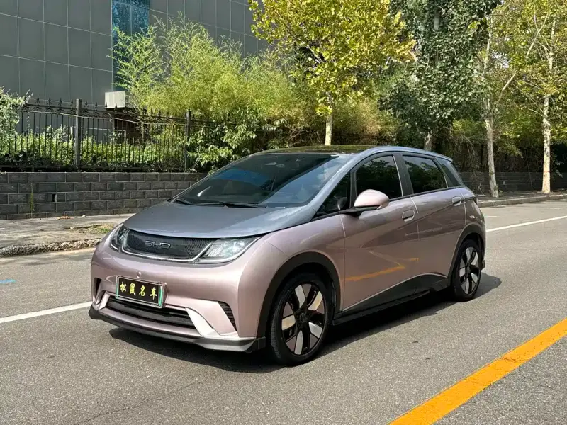 BYD Dolphin