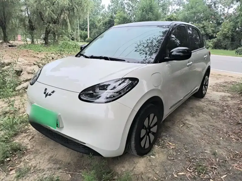 Wuling Bingo