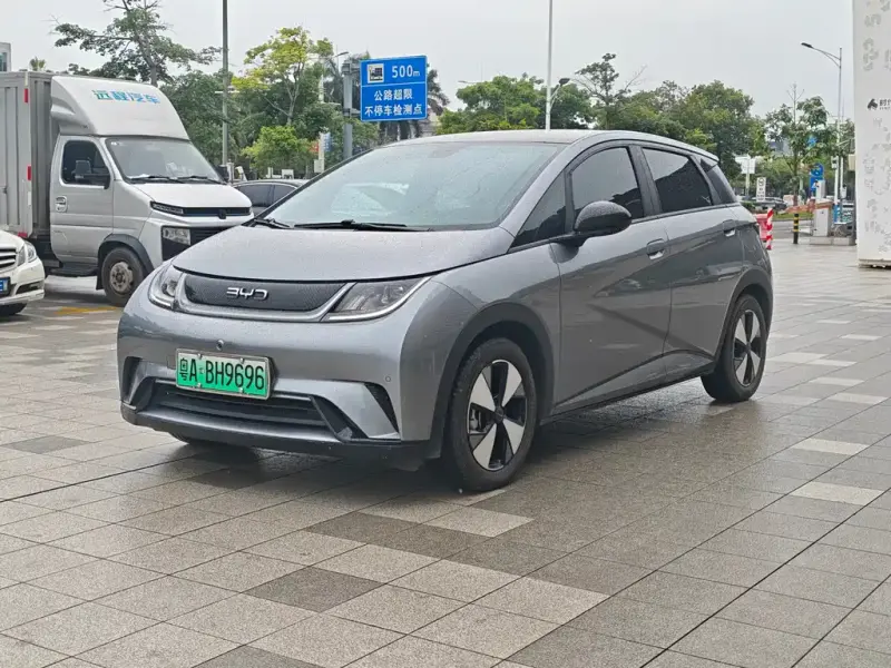 BYD Dolphin