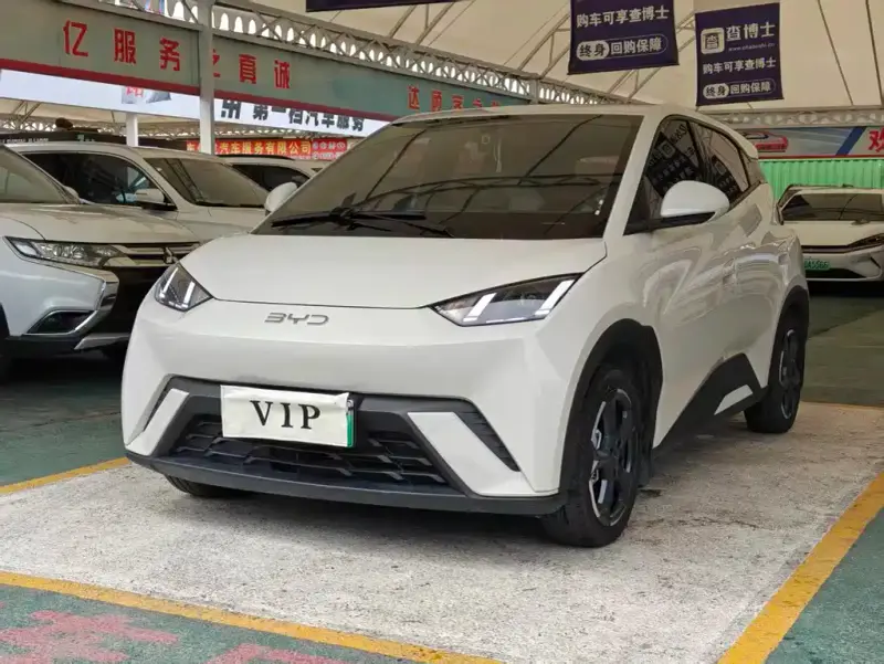 BYD Seagull