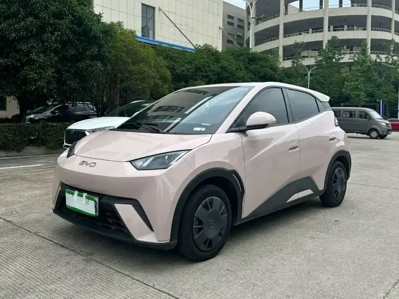 BYD Seagull