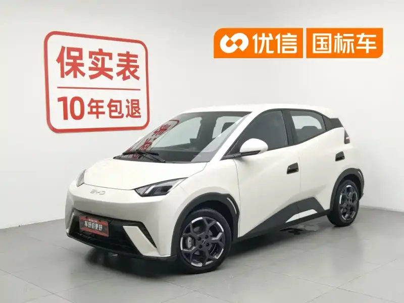 BYD Seagull