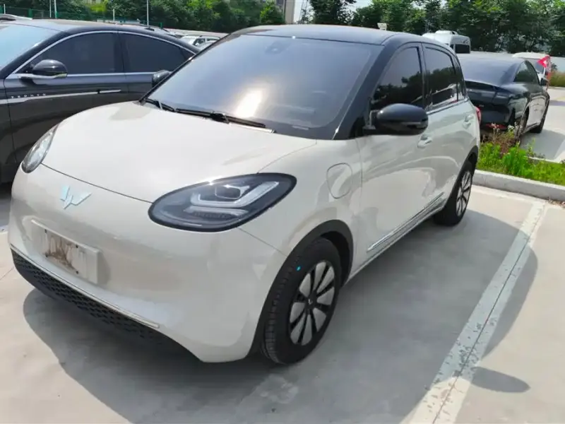 Wuling Bingo