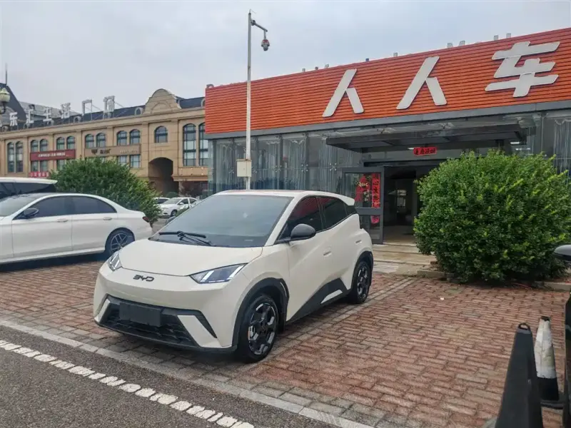 BYD Seagull