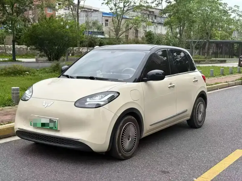 Wuling Bingo