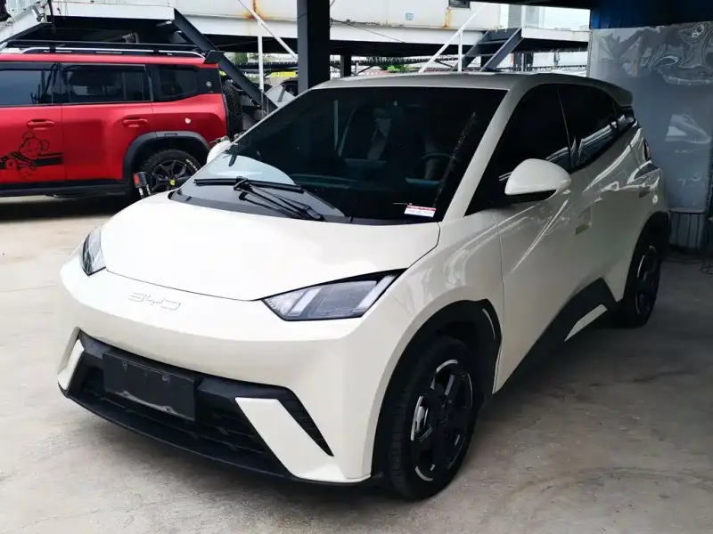 BYD Seagull