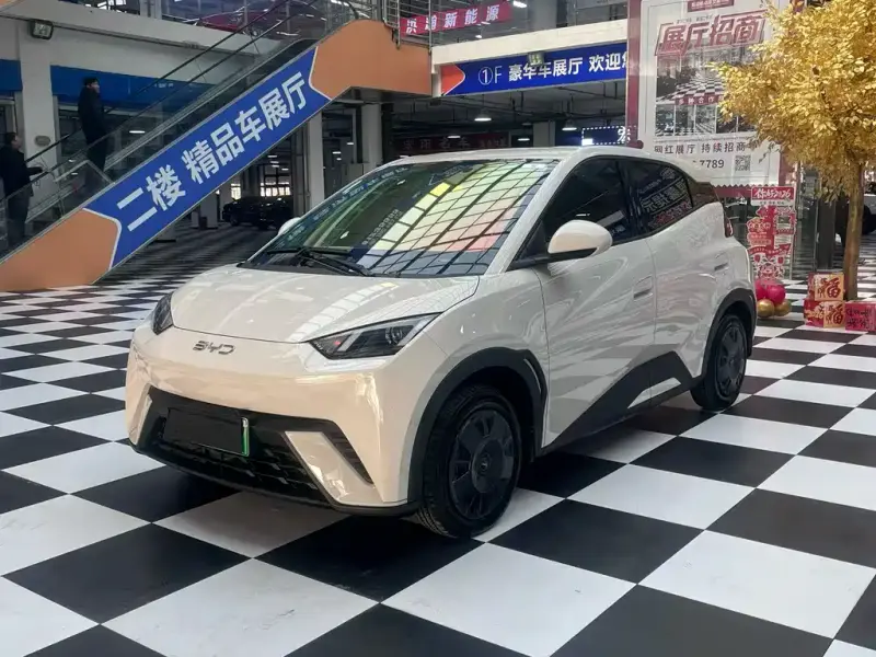 BYD Seagull