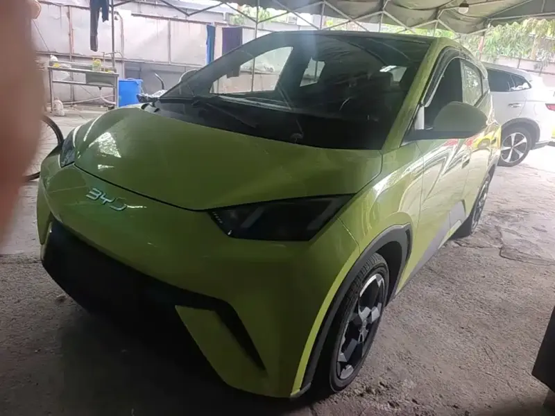 BYD Seagull
