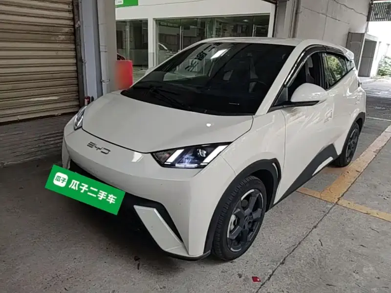 BYD Seagull