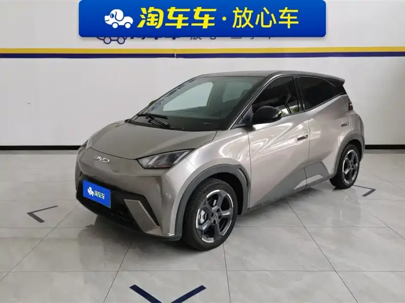 BYD Seagull