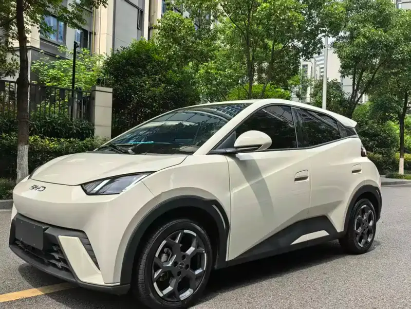 BYD Seagull
