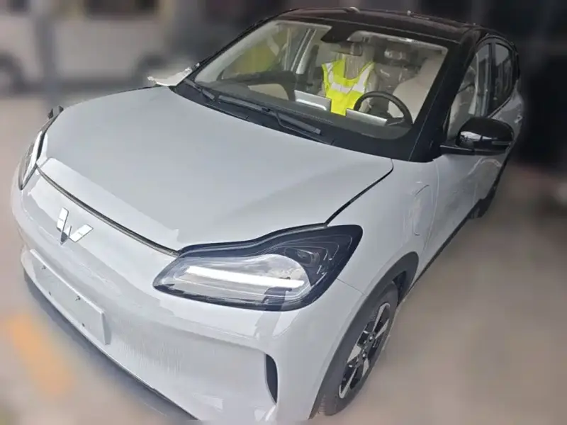 Wuling Bingo PLUS