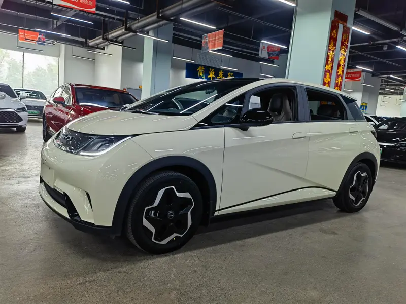 BYD Dolphin