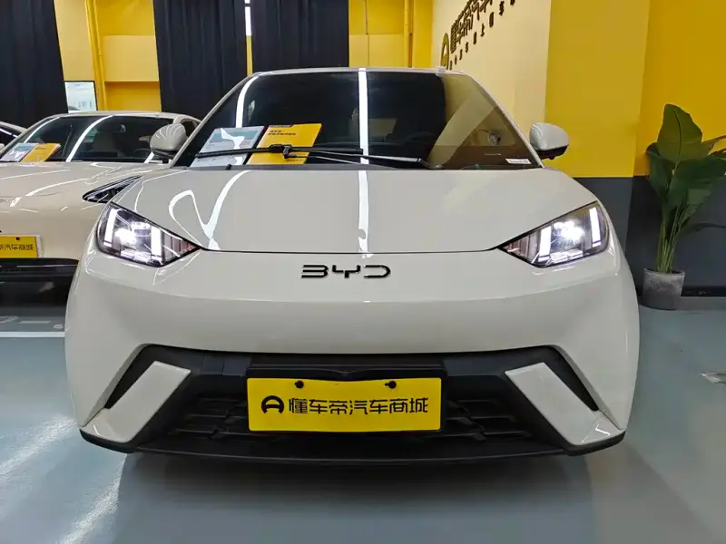 BYD Seagull