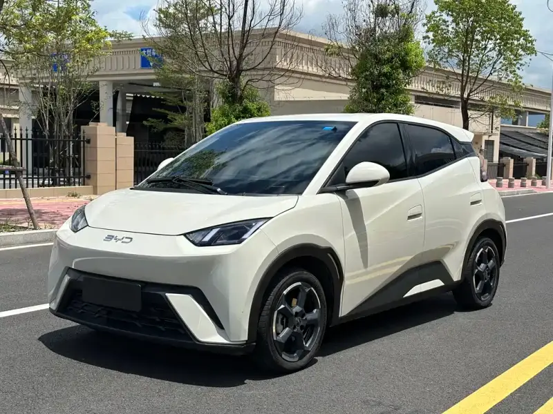 BYD Seagull