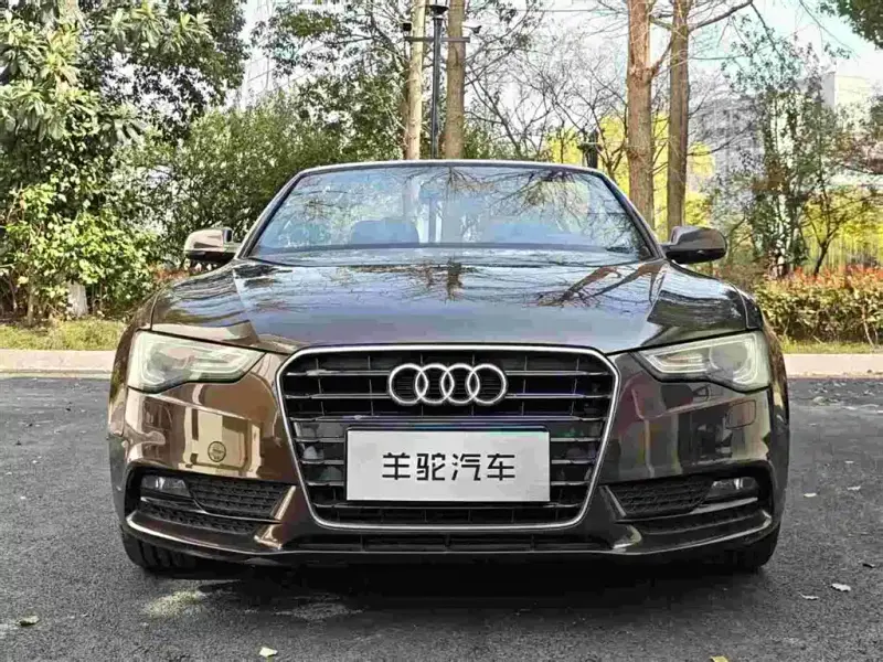 Audi A5 (Import)