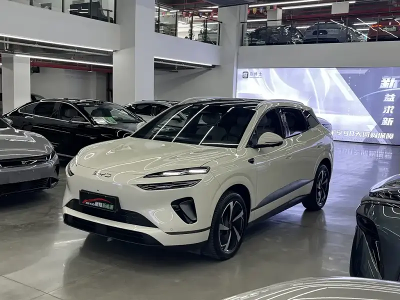 BYD Sea Lion 06
