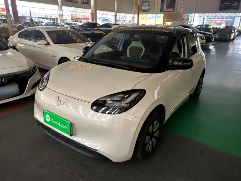 Wuling Bingo
