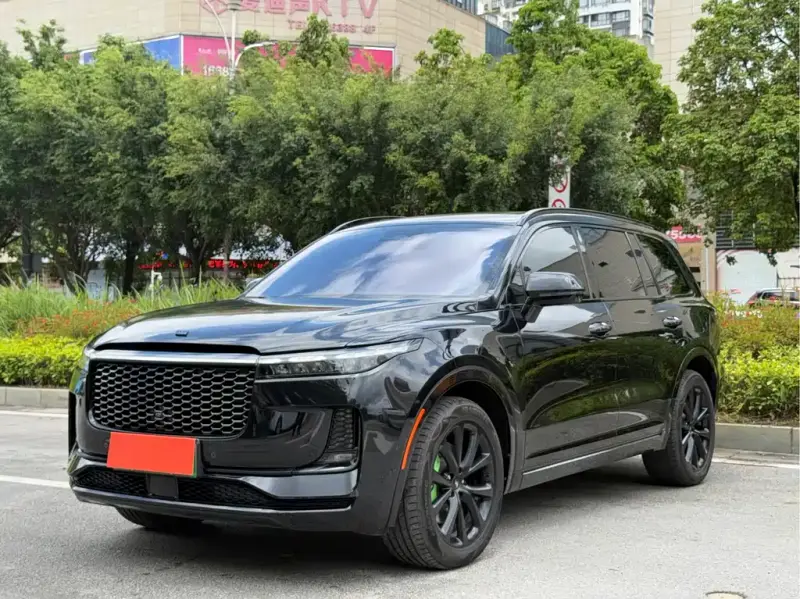 Li Auto ONE