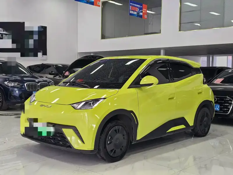 BYD Seagull