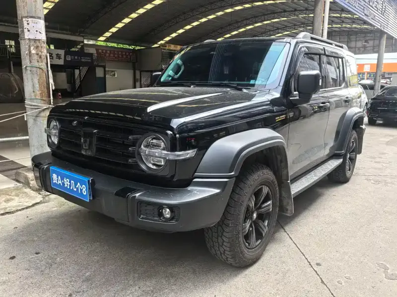 Tank 300