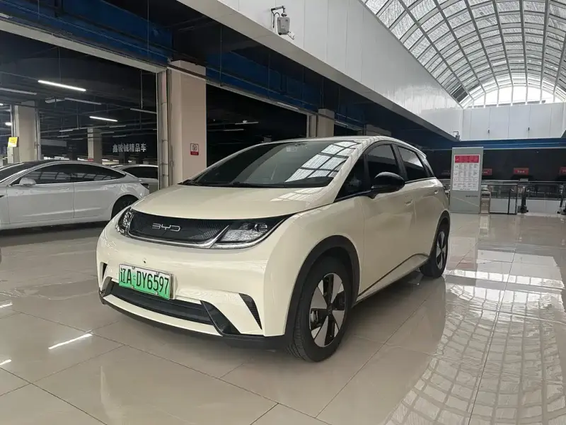 BYD Dolphin