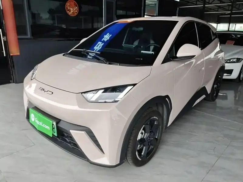 BYD Seagull