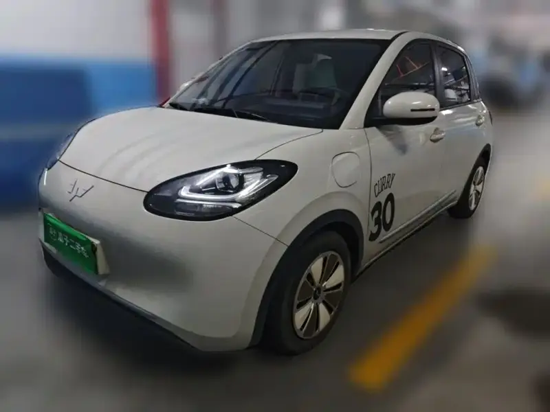 Wuling Bingo