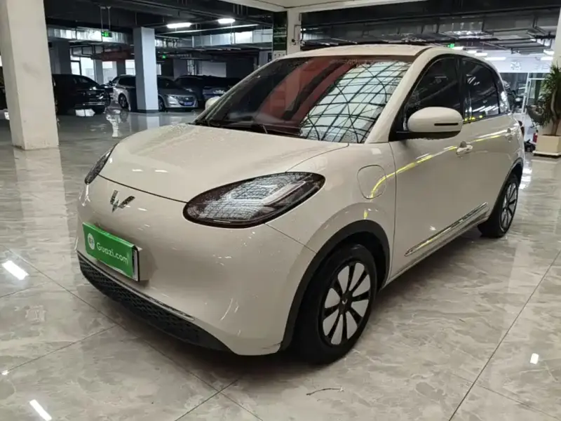 Wuling Bingo