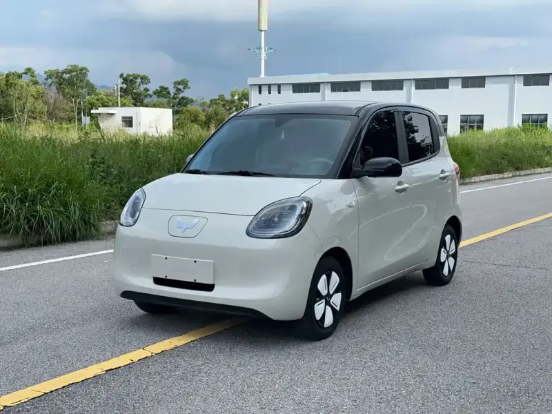 Wuling Hongguang Mini EV (MINIEV)
