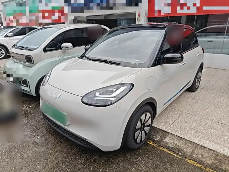 Wuling Bingo